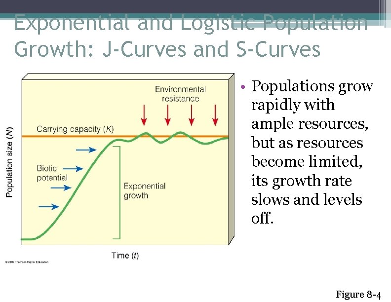 Exponential and Logistic Population Growth: J-Curves and S-Curves • Populations grow rapidly with ample