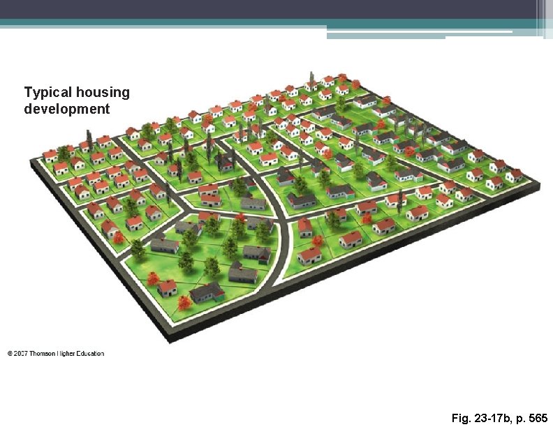 Typical housing development Fig. 23 -17 b, p. 565 