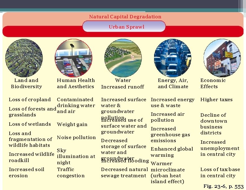 Natural Capital Degradation Urban Sprawl Land Biodiversity Human Health and Aesthetics Loss of cropland