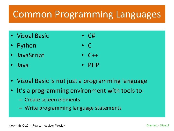 Common Programming Languages • • Visual Basic Python Java. Script Java • • C#
