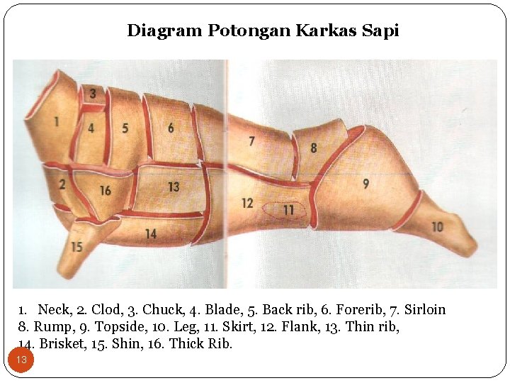 Diagram Potongan Karkas Sapi 1. Neck, 2. Clod, 3. Chuck, 4. Blade, 5. Back