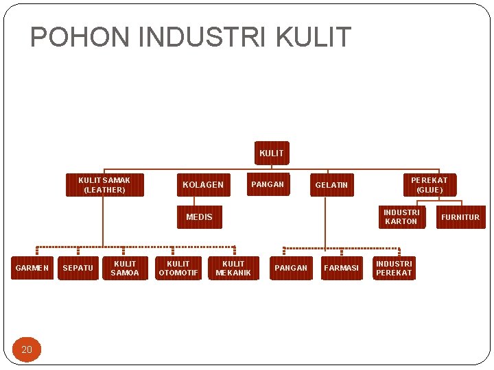 POHON INDUSTRI KULIT SAMAK (LEATHER) KOLAGEN PANGAN GELATIN INDUSTRI KARTON MEDIS GARMEN 20 SEPATU