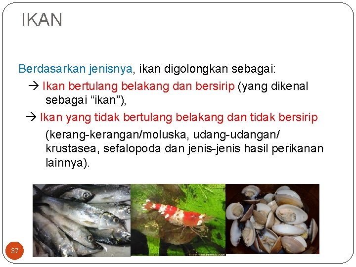 IKAN Berdasarkan jenisnya, ikan digolongkan sebagai: Ikan bertulang belakang dan bersirip (yang dikenal sebagai