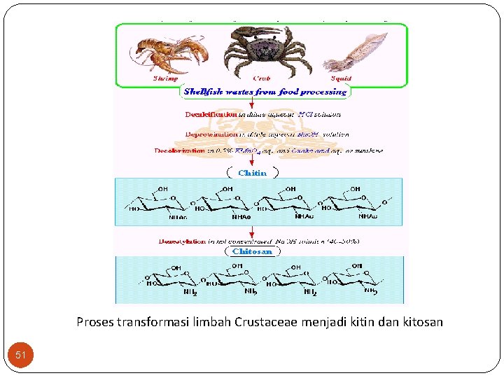 Proses transformasi limbah Crustaceae menjadi kitin dan kitosan 51 