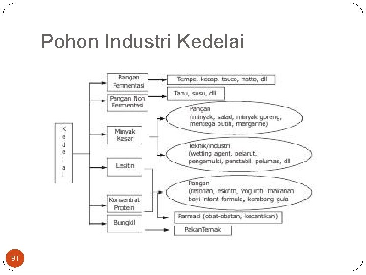 Pohon Industri Kedelai 91 