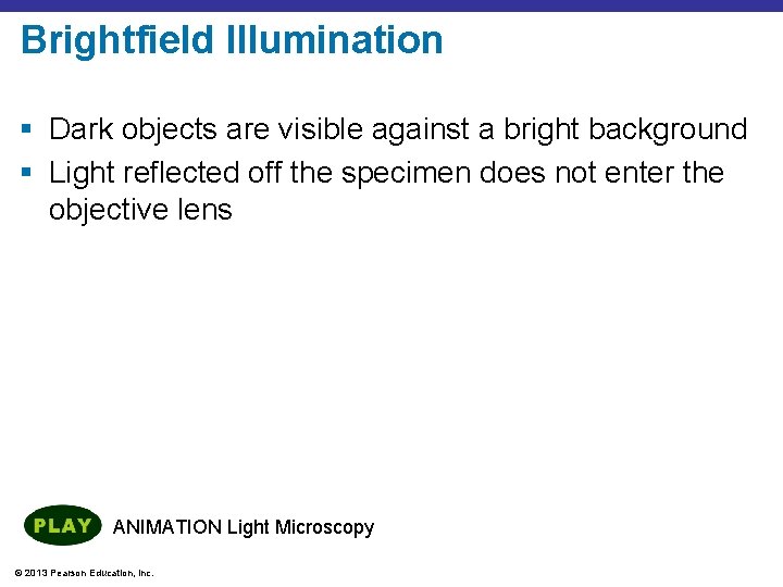 Brightfield Illumination § Dark objects are visible against a bright background § Light reflected