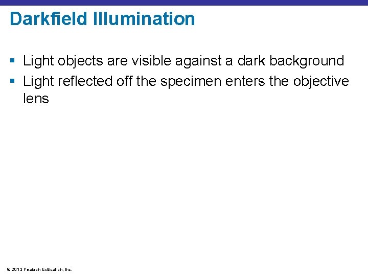 Darkfield Illumination § Light objects are visible against a dark background § Light reflected