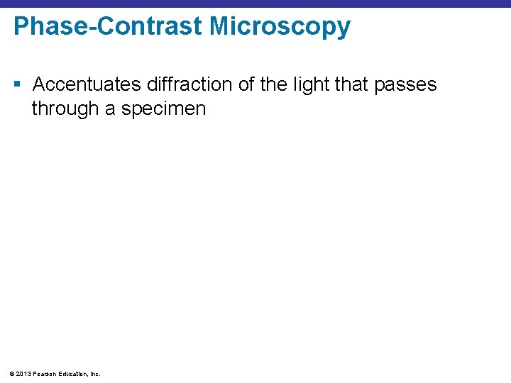 Phase-Contrast Microscopy § Accentuates diffraction of the light that passes through a specimen ©