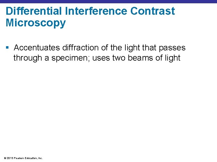 Differential Interference Contrast Microscopy § Accentuates diffraction of the light that passes through a