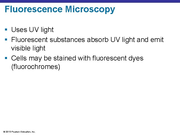 Fluorescence Microscopy § Uses UV light § Fluorescent substances absorb UV light and emit