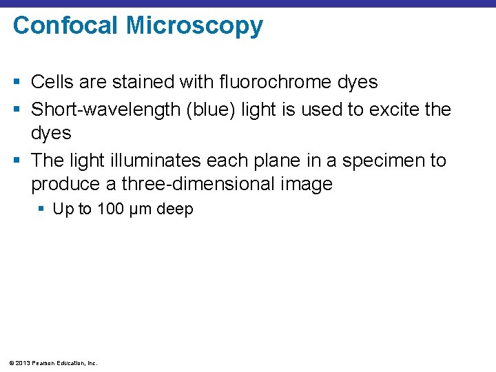 Confocal Microscopy § Cells are stained with fluorochrome dyes § Short-wavelength (blue) light is