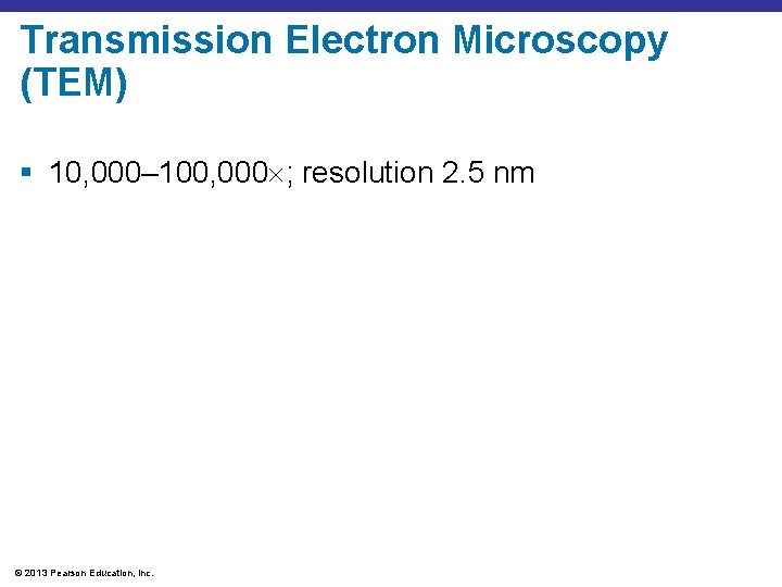 Transmission Electron Microscopy (TEM) § 10, 000– 100, 000 ; resolution 2. 5 nm