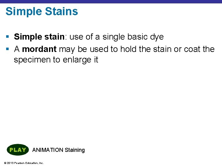 Simple Stains § Simple stain: use of a single basic dye § A mordant