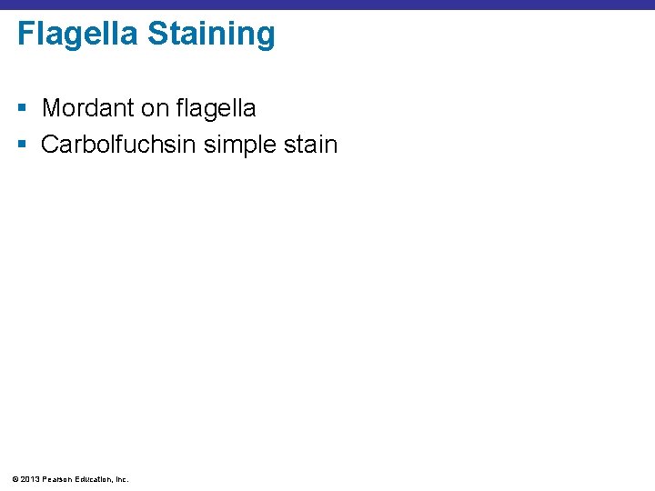 Flagella Staining § Mordant on flagella § Carbolfuchsin simple stain © 2013 Pearson Education,