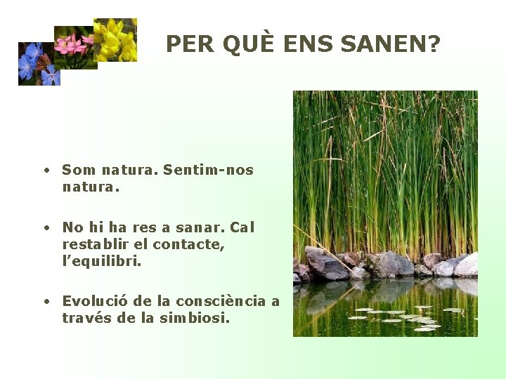 P PER QUÈ ENS SANEN? • Som natura. Sentim-nos natura. • No hi ha