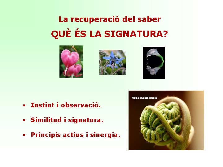 La recuperació del saber QUÈ ÉS LA SIGNATURA? • Instint i observació. • Similitud