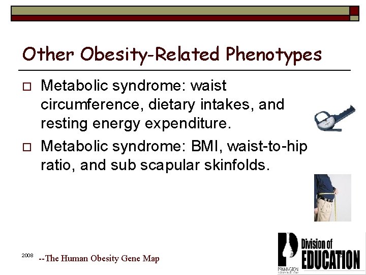 Other Obesity-Related Phenotypes o o 2008 Metabolic syndrome: waist circumference, dietary intakes, and resting
