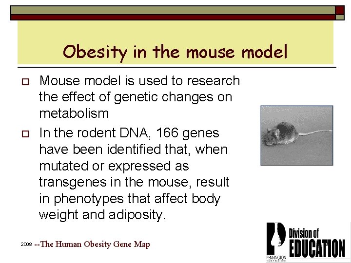 Obesity in the mouse model o o 2008 Mouse model is used to research