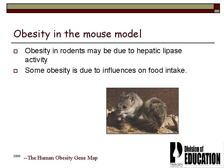 Obesity in the mouse model o o 2008 Obesity in rodents may be due