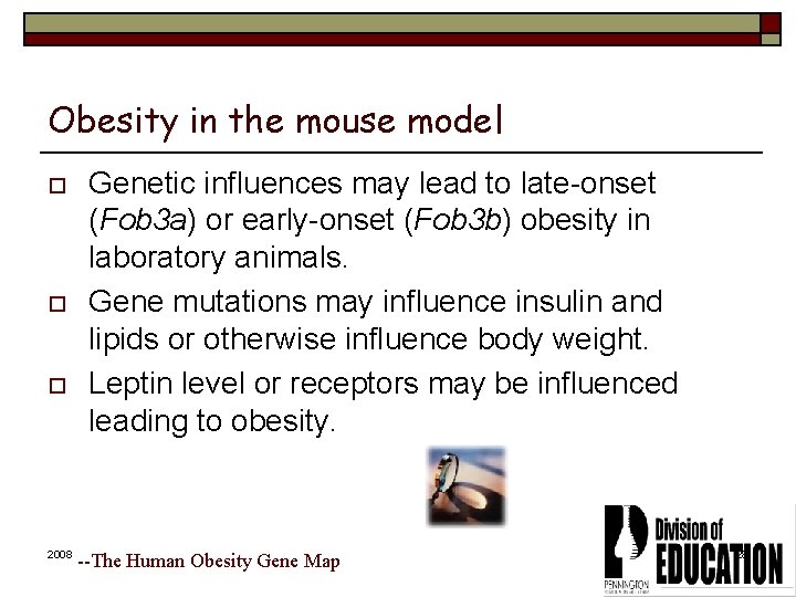 Obesity in the mouse model o o o 2008 Genetic influences may lead to