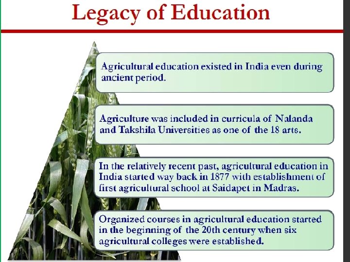 NAVIGATING INFORMATION RESOURCES IN AGRICULTURE CAPACITY BUILDING FOR