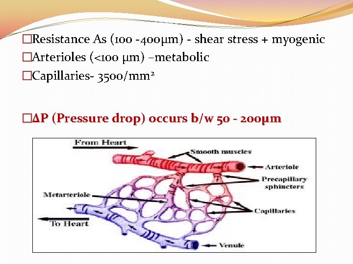 �Resistance As (100 -400μm) - shear stress + myogenic �Arterioles (<100 μm) –metabolic �Capillaries- �Resistance As (100 -400μm) - shear stress + myogenic �Arterioles (<100 μm) –metabolic �Capillaries-