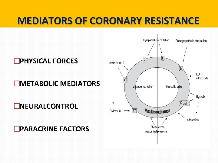 MEDIATORS OF CORONARY RESISTANCE �PHYSICAL FORCES �METABOLIC MEDIATORS �NEURALCONTROL �PARACRINE FACTORS MEDIATORS OF CORONARY RESISTANCE �PHYSICAL FORCES �METABOLIC MEDIATORS �NEURALCONTROL �PARACRINE FACTORS
