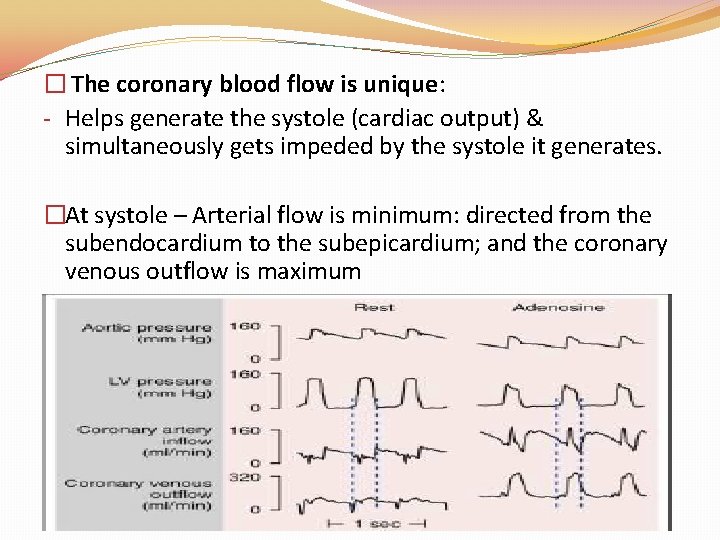 � The coronary blood flow is unique: - Helps generate the systole (cardiac output) � The coronary blood flow is unique: - Helps generate the systole (cardiac output)