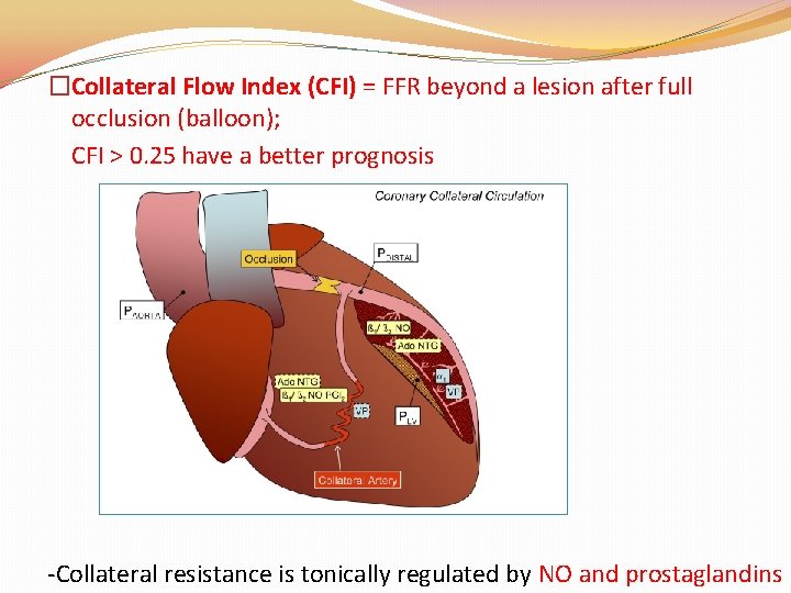 �Collateral Flow Index (CFI) = FFR beyond a lesion after full occlusion (balloon); CFI �Collateral Flow Index (CFI) = FFR beyond a lesion after full occlusion (balloon); CFI