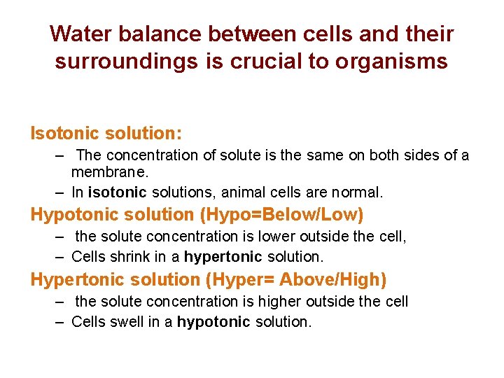Water balance between cells and their surroundings is crucial to organisms Isotonic solution: –