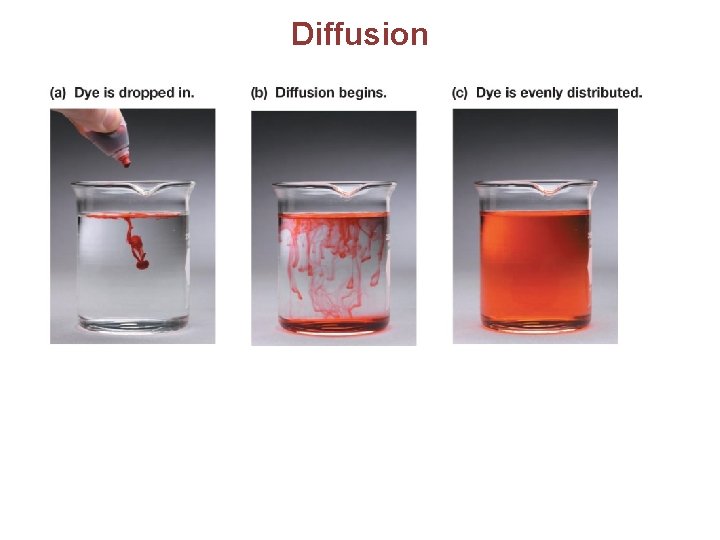 Diffusion 