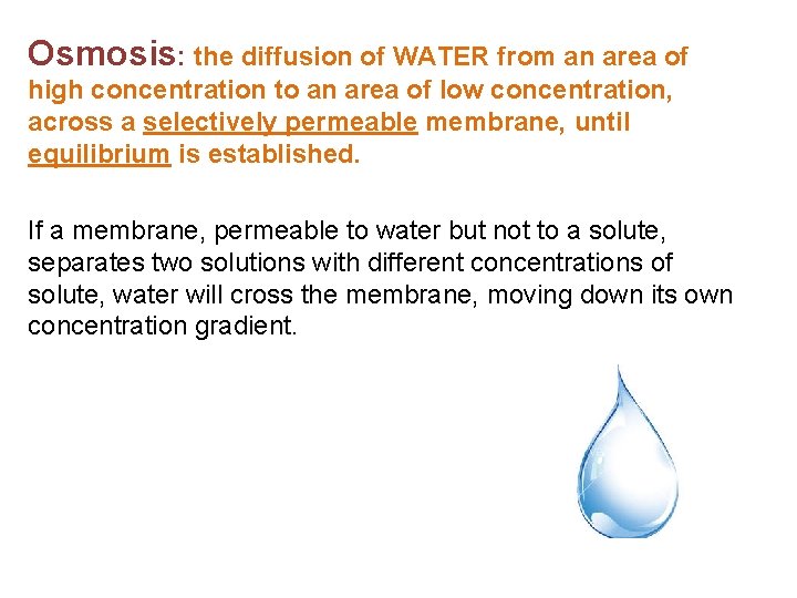 Osmosis: the diffusion of WATER from an area of high concentration to an area