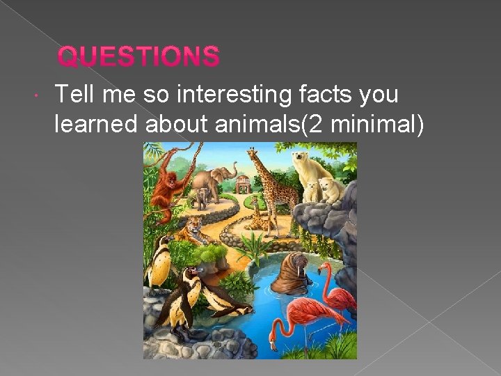  Tell me so interesting facts you learned about animals(2 minimal) 