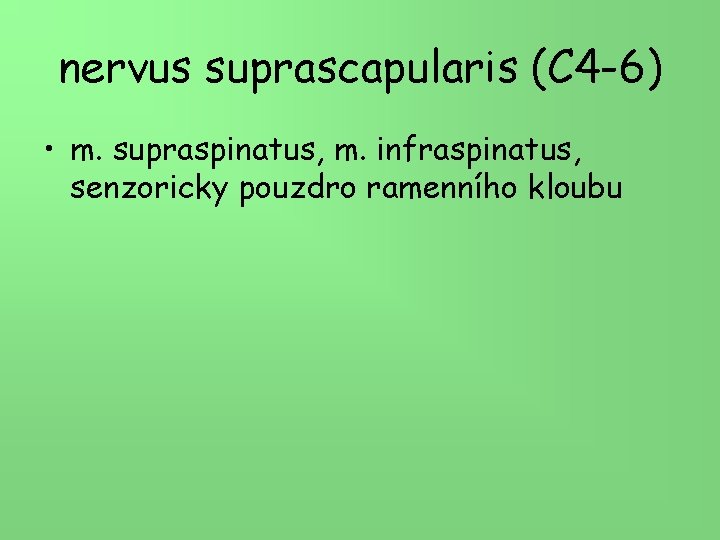 nervus suprascapularis (C 4 -6) • m. supraspinatus, m. infraspinatus, senzoricky pouzdro ramenního kloubu