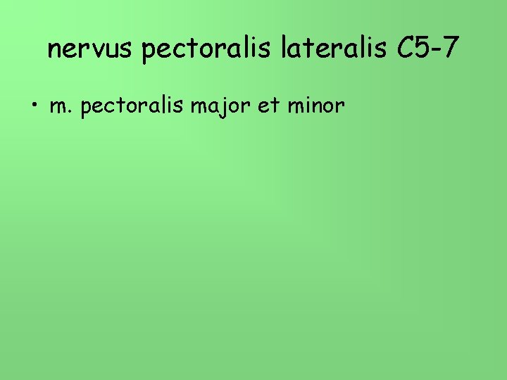 nervus pectoralis lateralis C 5 -7 • m. pectoralis major et minor 