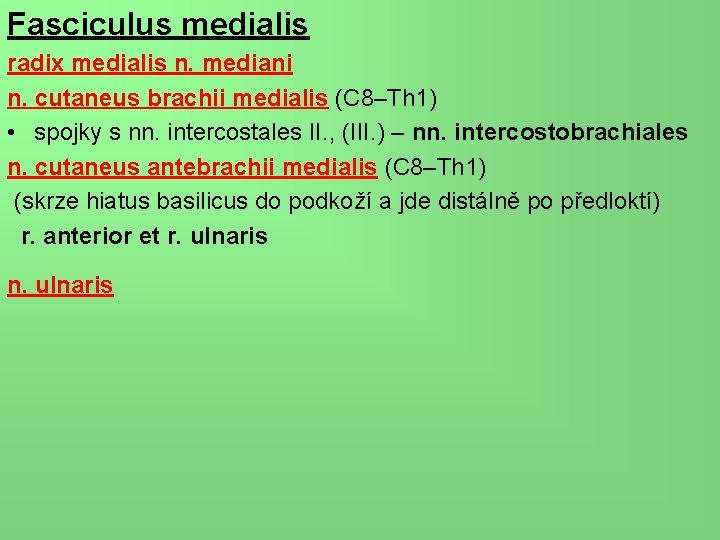 Fasciculus medialis radix medialis n. mediani n. cutaneus brachii medialis (C 8–Th 1) •