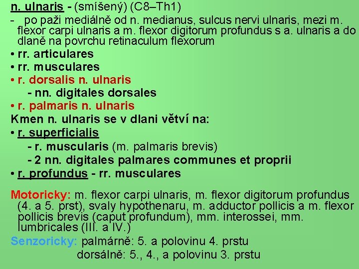 n. ulnaris - (smíšený) (C 8–Th 1) - po paži mediálně od n. medianus,