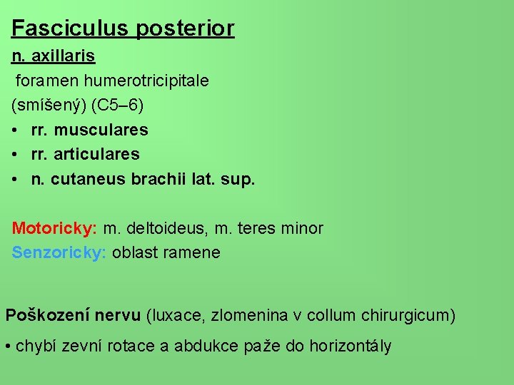 Fasciculus posterior n. axillaris foramen humerotricipitale (smíšený) (C 5– 6) • rr. musculares •