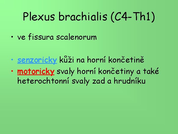 Plexus brachialis (C 4 -Th 1) • ve fissura scalenorum • senzoricky kůži na
