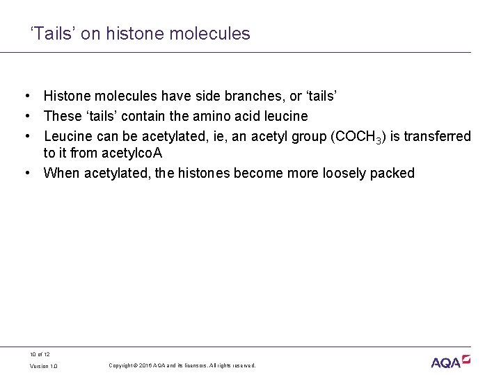 ‘Tails’ on histone molecules • Histone molecules have side branches, or ‘tails’ • These