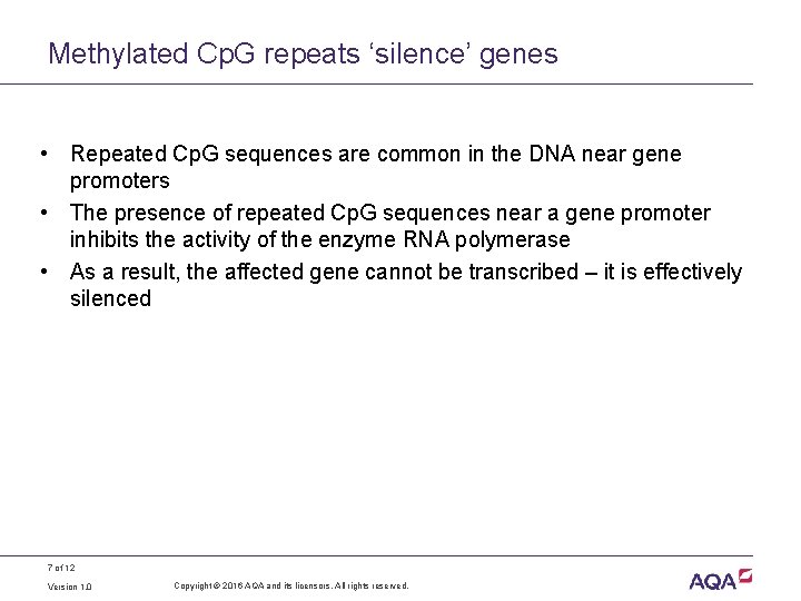 Methylated Cp. G repeats ‘silence’ genes • Repeated Cp. G sequences are common in