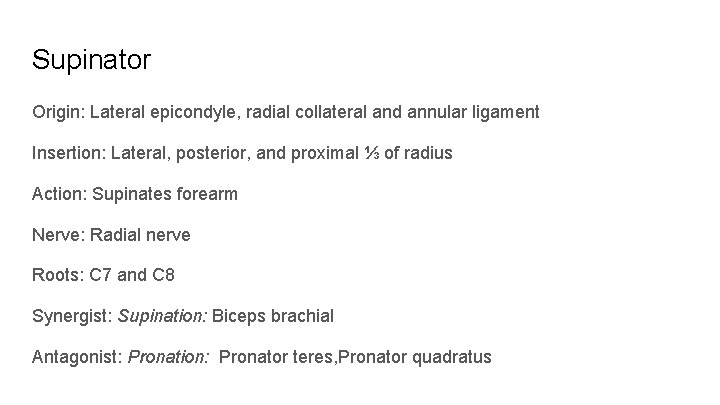 Supinator Origin: Lateral epicondyle, radial collateral and annular ligament Insertion: Lateral, posterior, and proximal