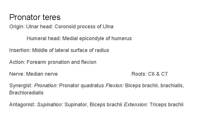 Pronator teres Origin: Ulnar head: Coronoid process of Ulna Humeral head: Medial epicondyle of