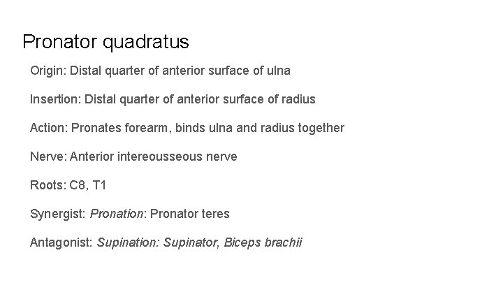 Pronator quadratus Origin: Distal quarter of anterior surface of ulna Insertion: Distal quarter of