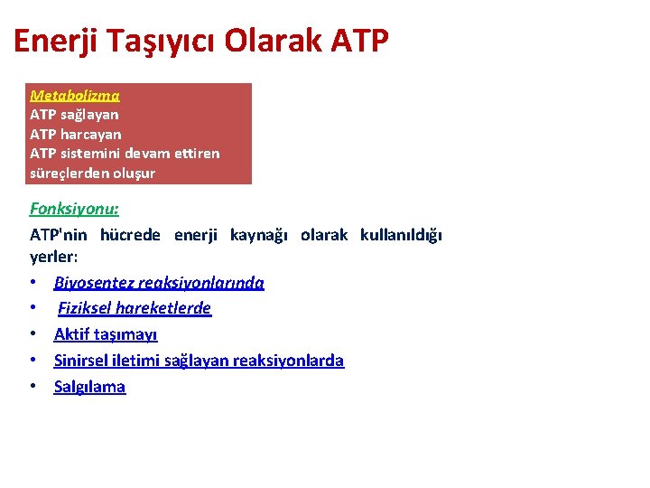 Enerji Taşıyıcı Olarak ATP Metabolizma ATP sağlayan ATP harcayan ATP sistemini devam ettiren süreçlerden