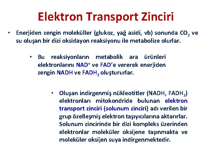 Elektron Transport Zinciri • Enerjiden zengin moleküller (glukoz, yağ asidi, vb) sonunda CO 2