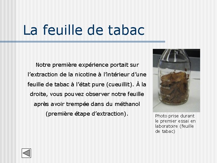 La feuille de tabac Notre première expérience portait sur l’extraction de la nicotine à