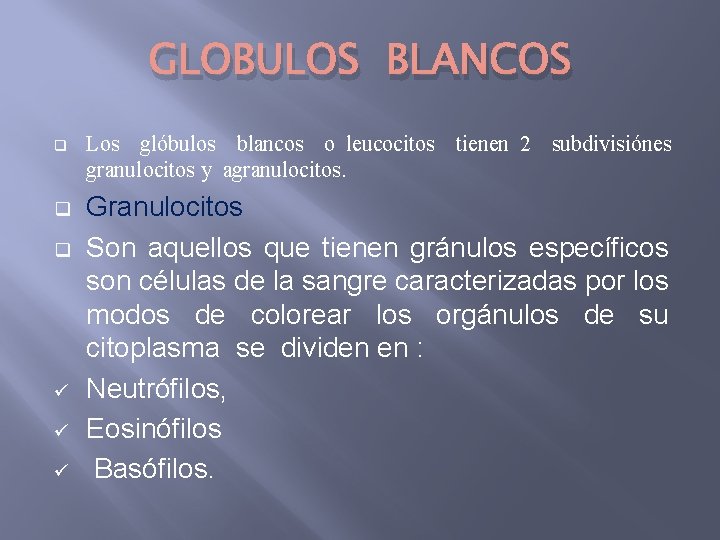 GLOBULOS BLANCOS q q q ü ü ü Los glóbulos blancos o leucocitos tienen