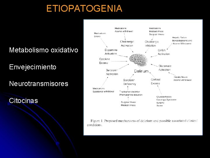 ETIOPATOGENIA Metabolismo oxidativo Envejecimiento Neurotransmisores Citocinas 