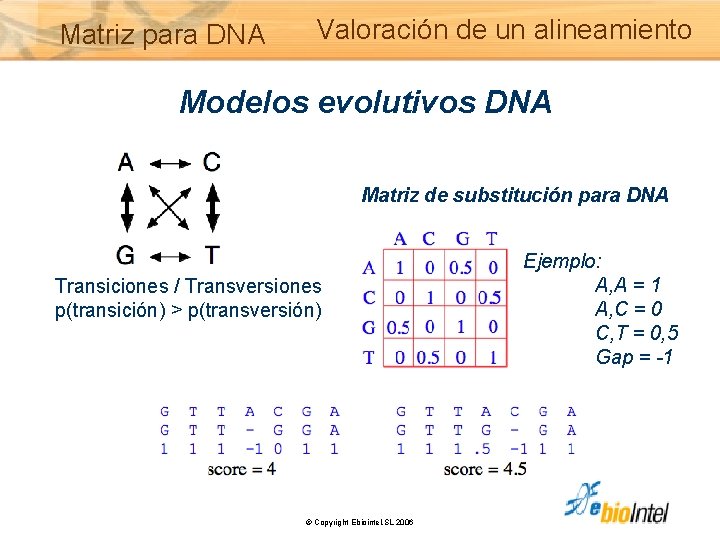 Matriz para DNA Valoración de un alineamiento Modelos evolutivos DNA Matriz de substitución para